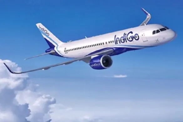 indigo