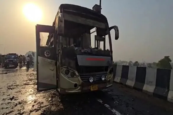 bus