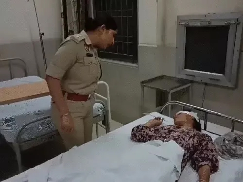 lapta