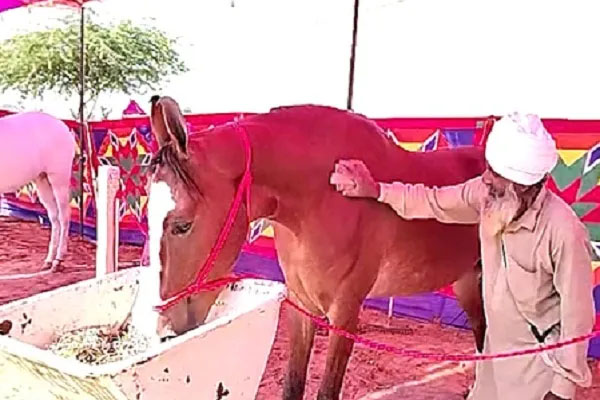 1crore