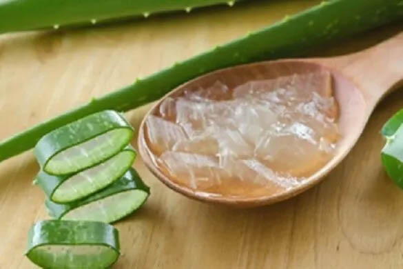 aloevera