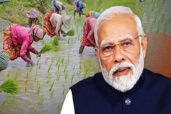 kisan