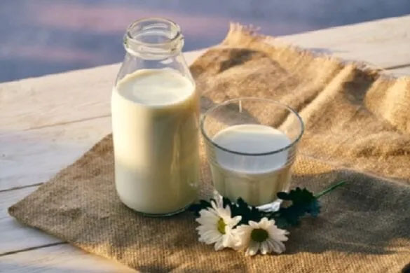 milk