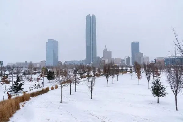 burf bari