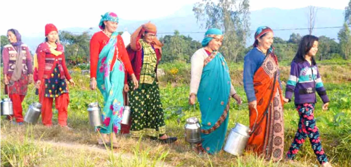 Kisan W