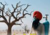 ਆਓ ਹਰ ਦਿਨ ਵਾਤਾਵਰਣ ਦਿਵਸ ਮਨਾਈਏ, ਰੁੱਖ ਲਗਾਈਏ, ਪਾਣੀ ਬਚਾਈਏ !