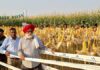 ਕਿਸਾਨ ਦੀ ਮਜ਼ਬੂਤ ਆਰਥਿਕਤਾ ਹੀ ਦੇਸ ਨੂੰ ਤਰੱਕੀ ਵਲ਼ ਤੋਰ ਸਕਦੀ ਹੈ।